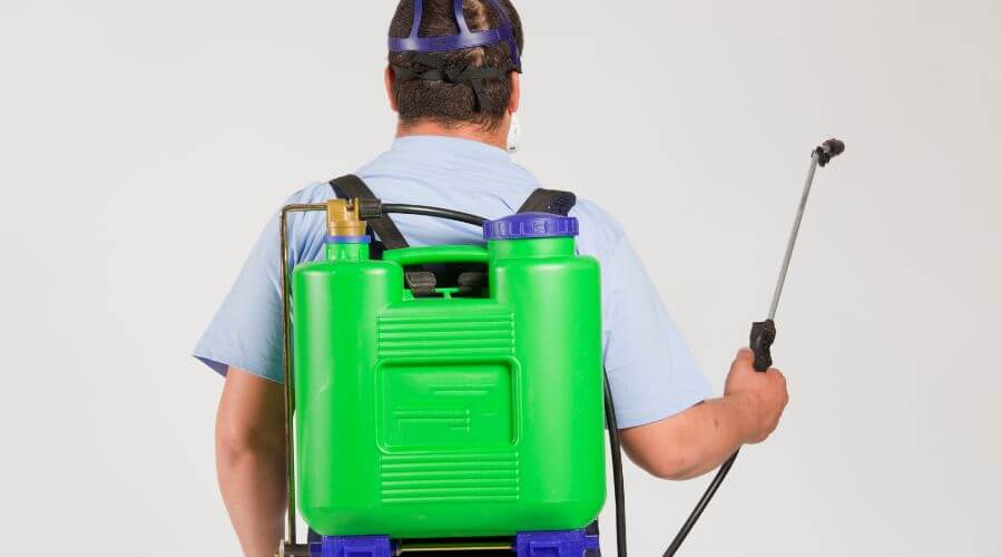 Why choose Wasp  Hornet Control Worcester MA for wasp  hornet control worcester ma in Worcester